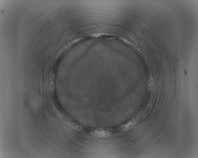 X0000060790464200512082128