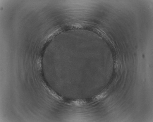 X0000060790466200512082128