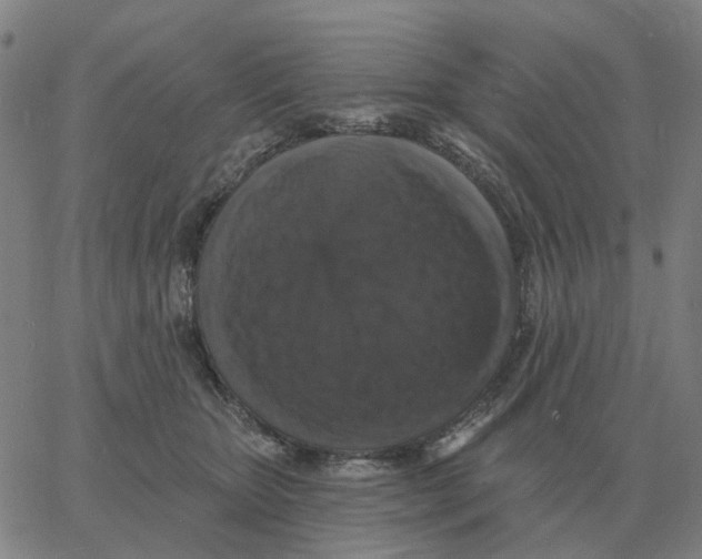 X0000060790467200512082128