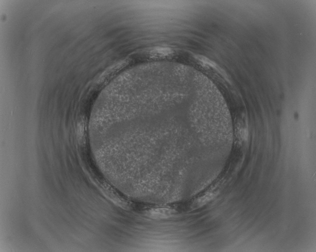 X0000060790468200512082128