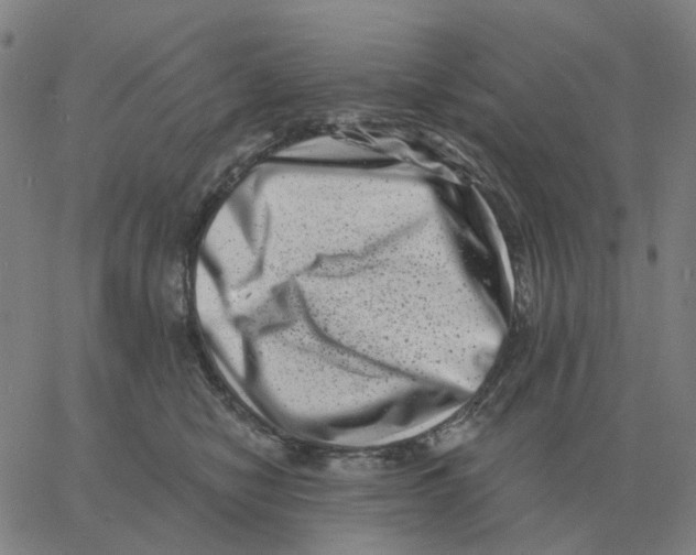 X0000060790470200512082128