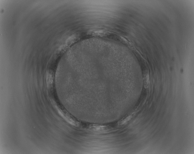 X0000060790472200512082128