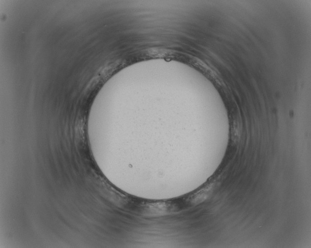 X0000060790473200512082129