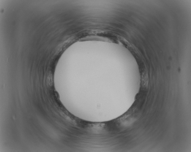 X0000060790474200512082129