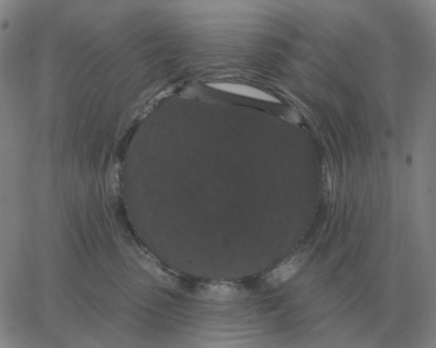 X0000060790475200512082129