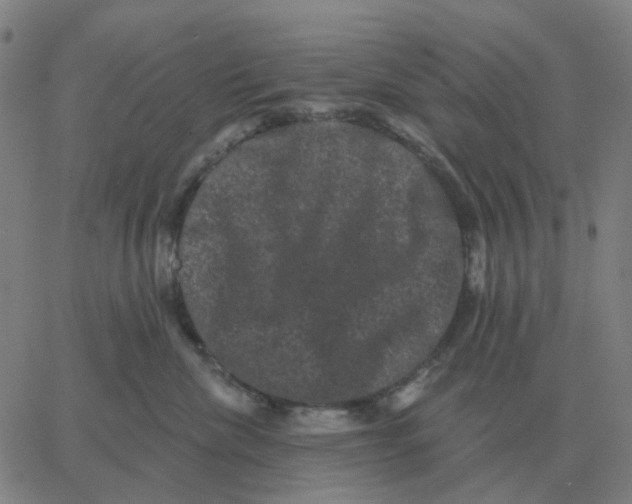 X0000060790476200512082129