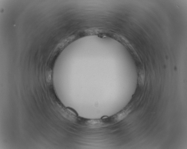 X0000060790477200512082129