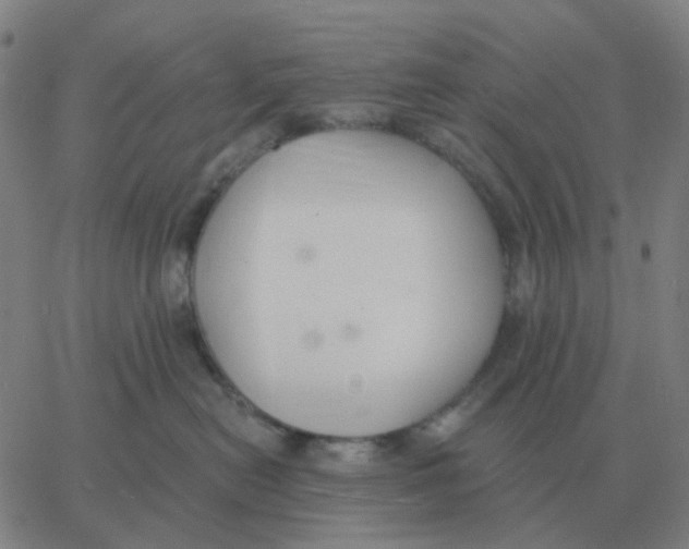 X0000060790478200512082129