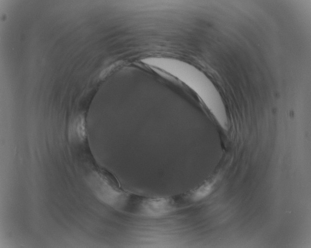 X0000060790479200512082129