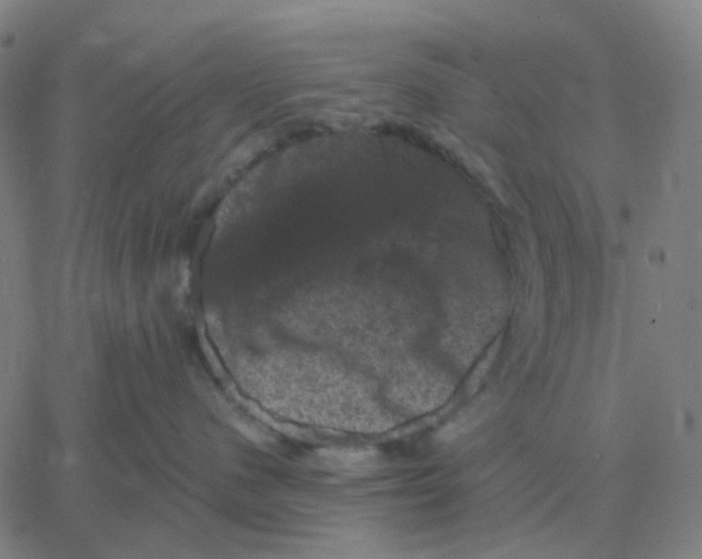 X0000060790480200512082129