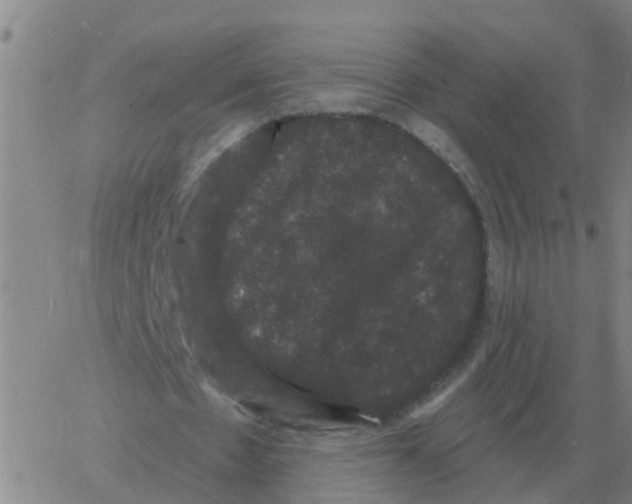 X0000060790481200512082128