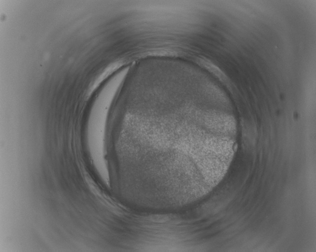 X0000060790482200512082128