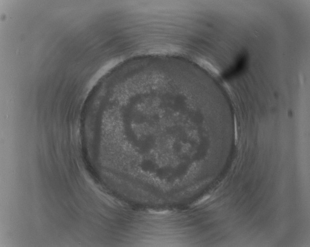 X0000060790483200512082128