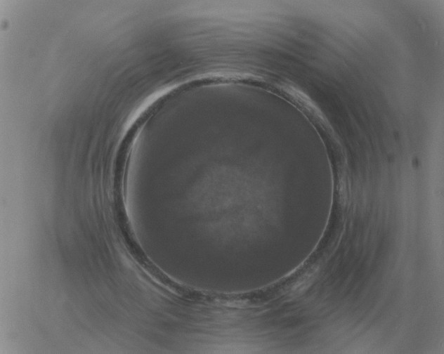 X0000060790484200512082128