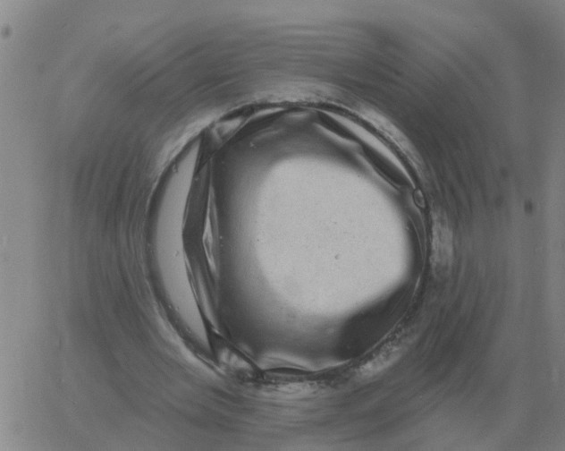 X0000060790485200512082128