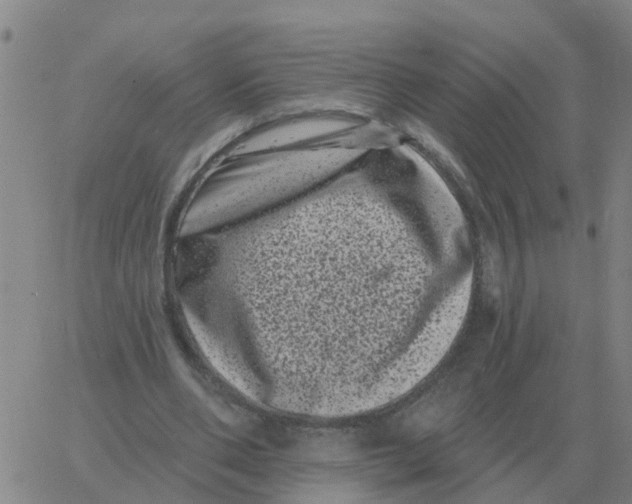 X0000060790486200512082128