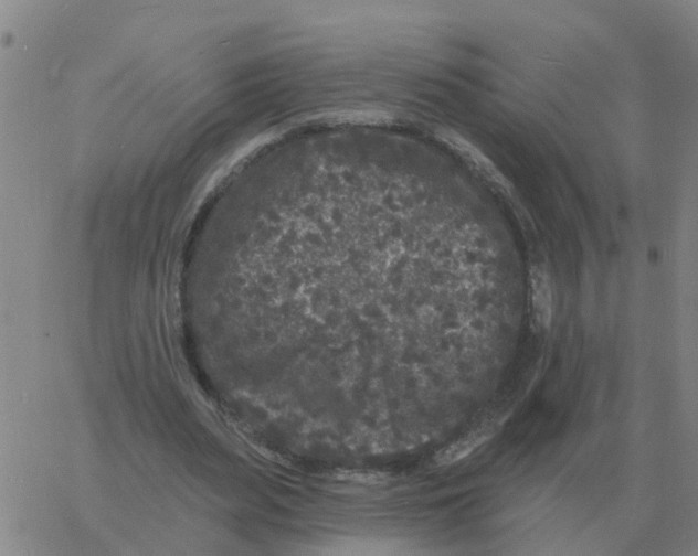 X0000060790487200512082128