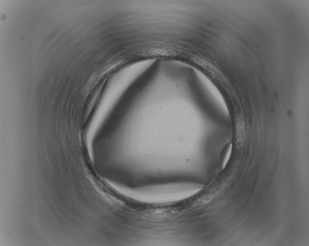 X0000060790489200512082128