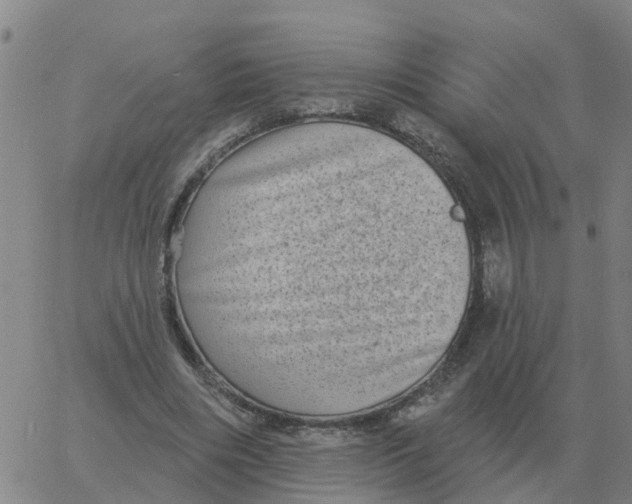 X0000060790490200512082128