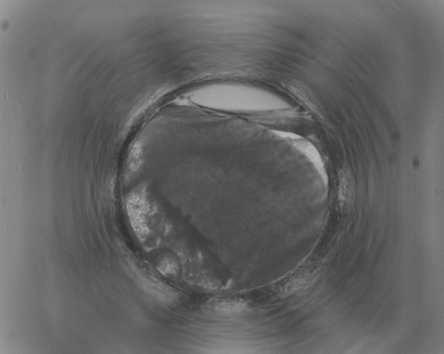 X0000060790491200512082128