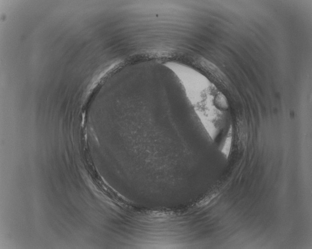 X0000060790494200512082128