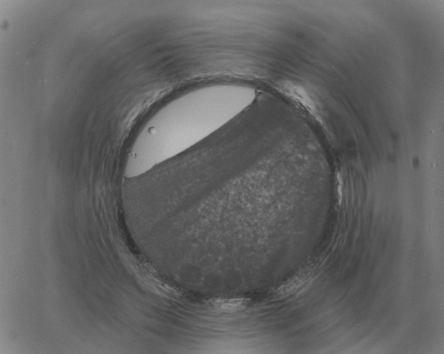 X0000060790495200512082128