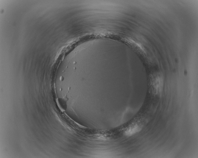 X0000060790496200512082128