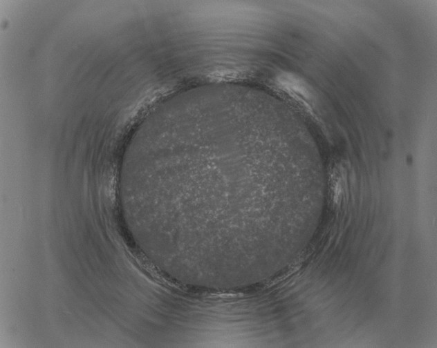 X0000060790499200512082128