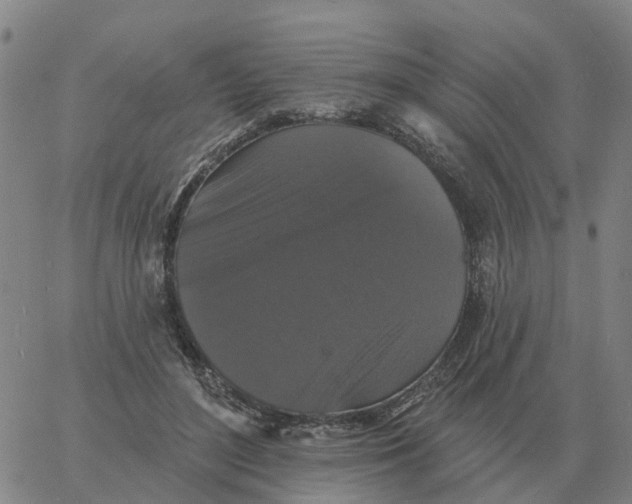 X0000060790500200512082128