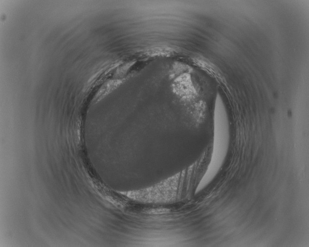 X0000060790501200512082128