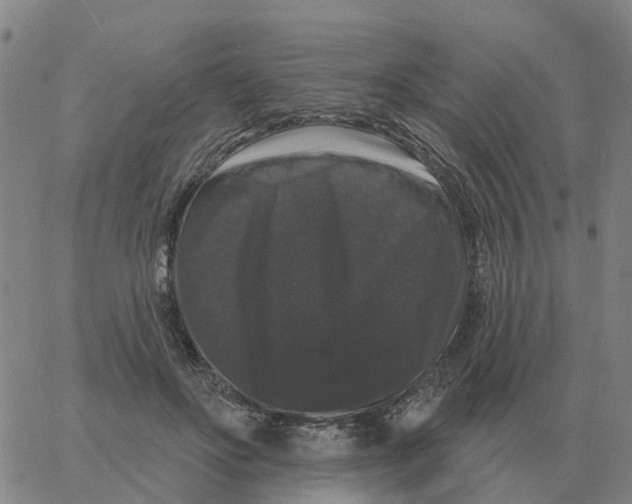 X0000060790502200512082127