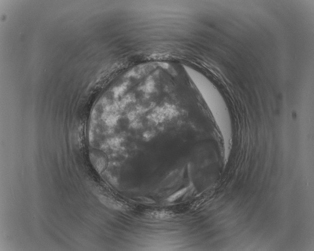 X0000060790503200512082127