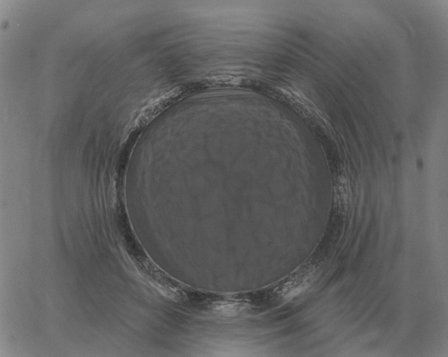 X0000060790504200512082127