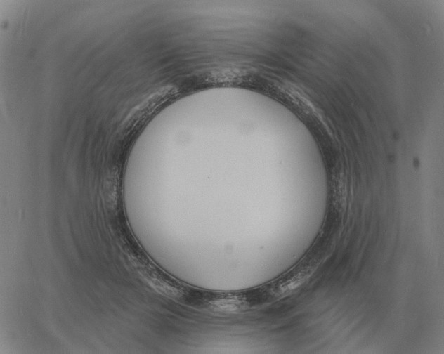 X0000060790505200512082127