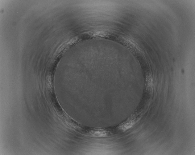 X0000060790506200512082127