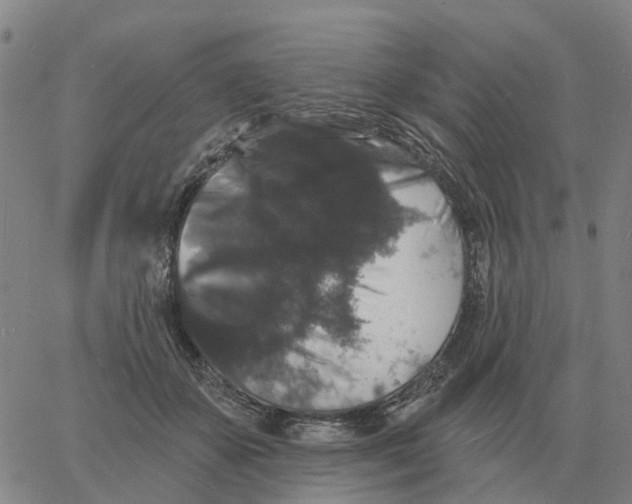 X0000060790507200512082127