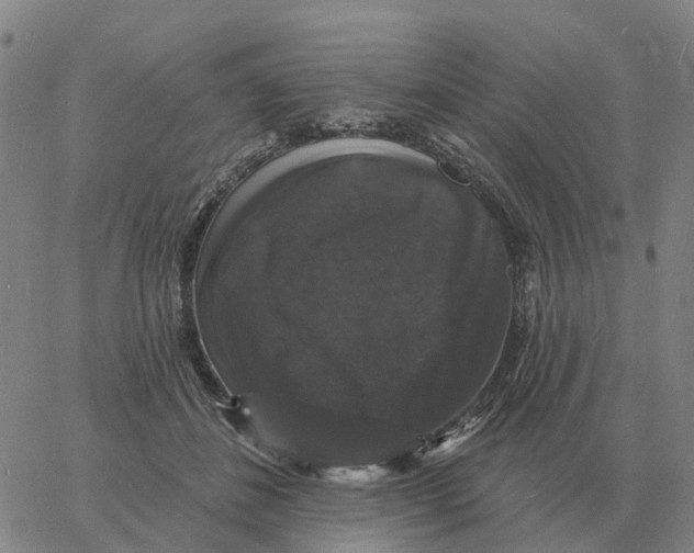 X0000060790508200512082127