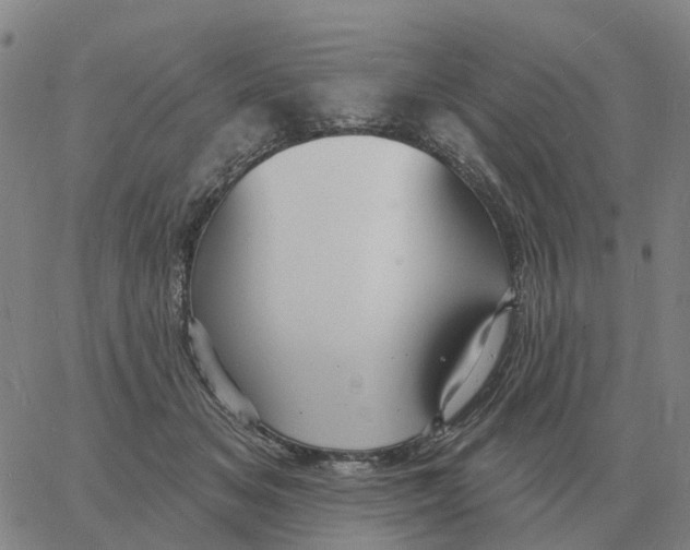 X0000060790509200512082127