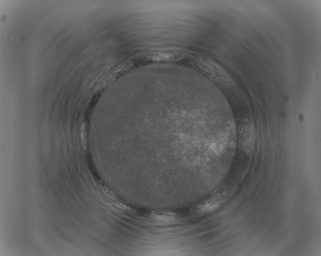 X0000060790510200512082127