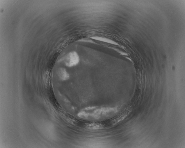 X0000060790511200512082127