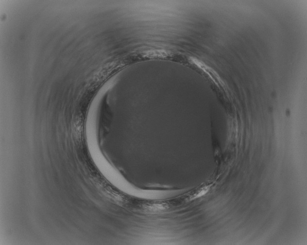 X0000060790513200512082127