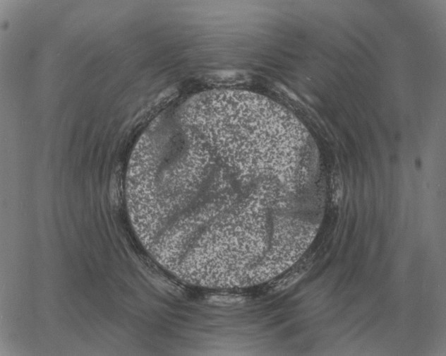 X0000060790515200512082127