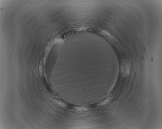 X0000060790516200512082127