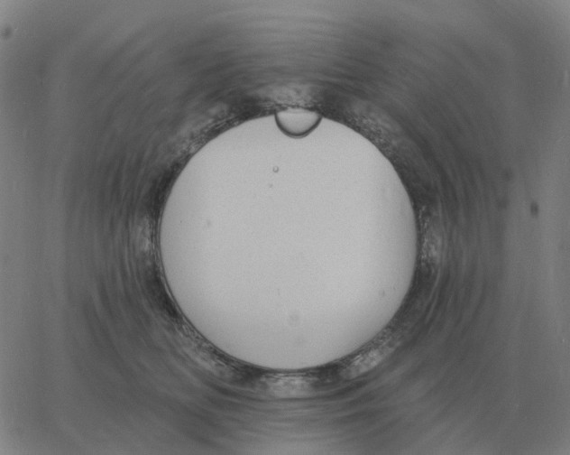 X0000060790518200512082127