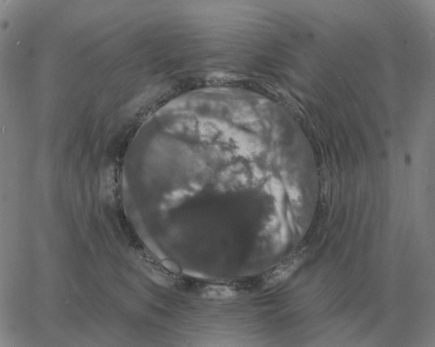 X0000060790519200512082127