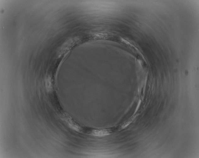 X0000060790520200512082127