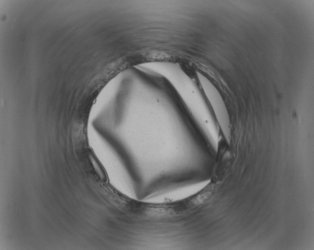 X0000060790521200512082127