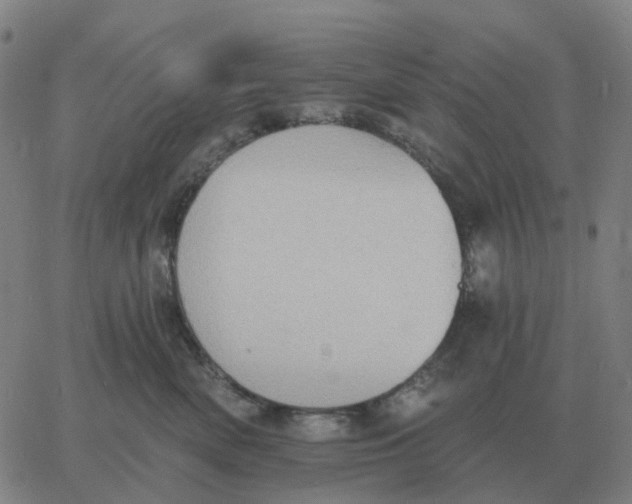 X0000060790522200512082127