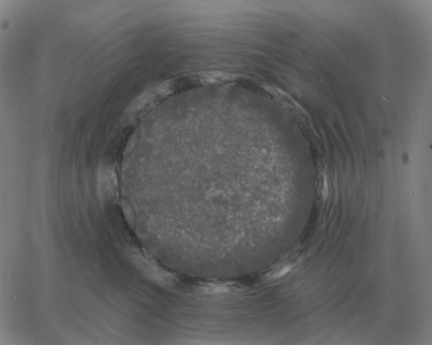 X0000060790523200512082127