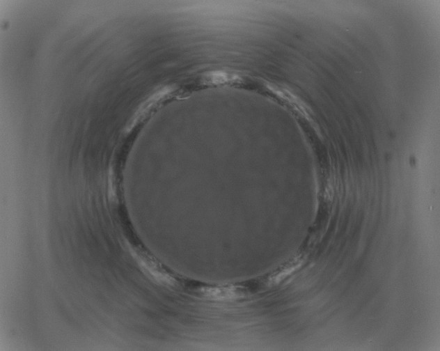 X0000060790524200512082127